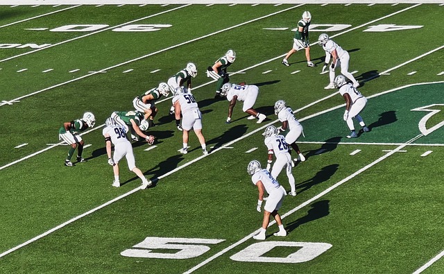 充分展现了 充分展现了