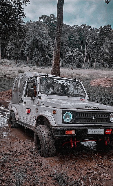 也同样适用 也同样适用