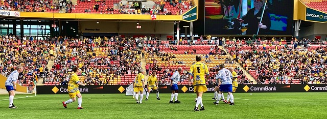 以应对新的 以应对新的