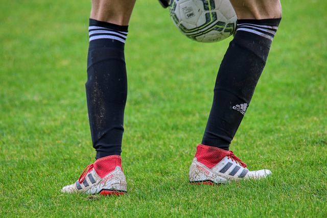 从事多年科 从事多年科