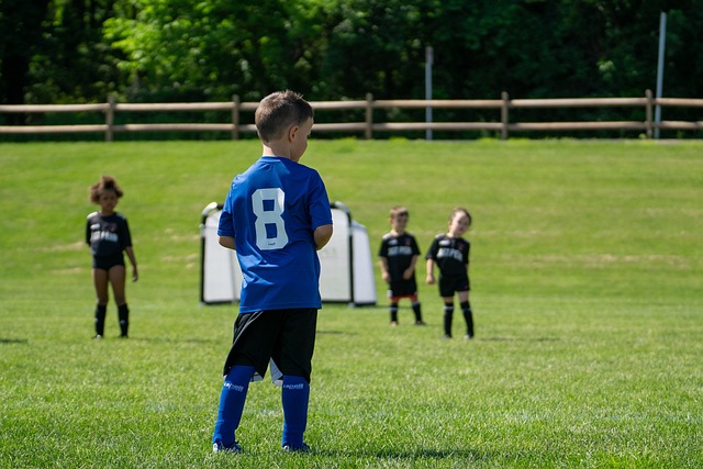 这一特点在 这一特点在