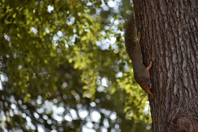 不仅彰显了 不仅彰显了