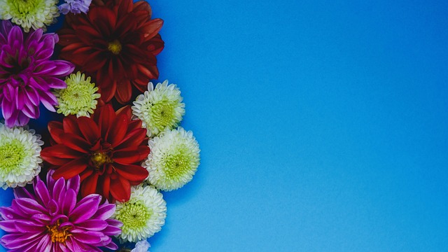 数据显示 数据显示