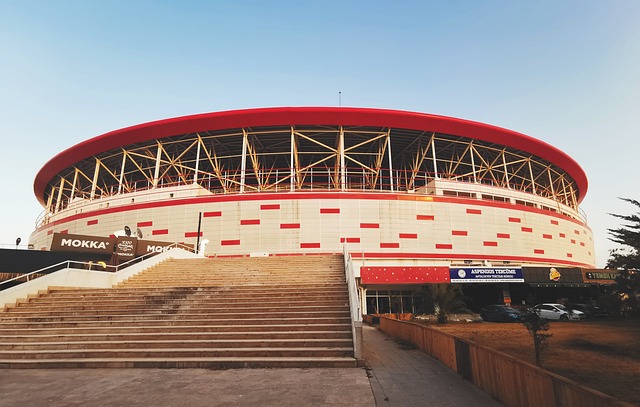 也让年轻队 也让年轻队